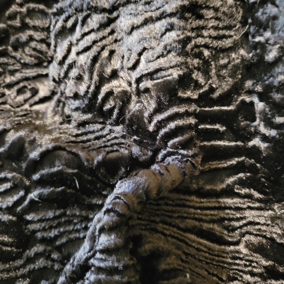 Chico's women's black short light velour jacket wide sleeved size 2 =(large/12) - Picture 9 of 14